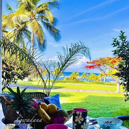 Acces Direct Plage, Vue Mer D'Exception, Les Gwada Studios, Village Vacances Sainte-Anne  Εξωτερικό φωτογραφία