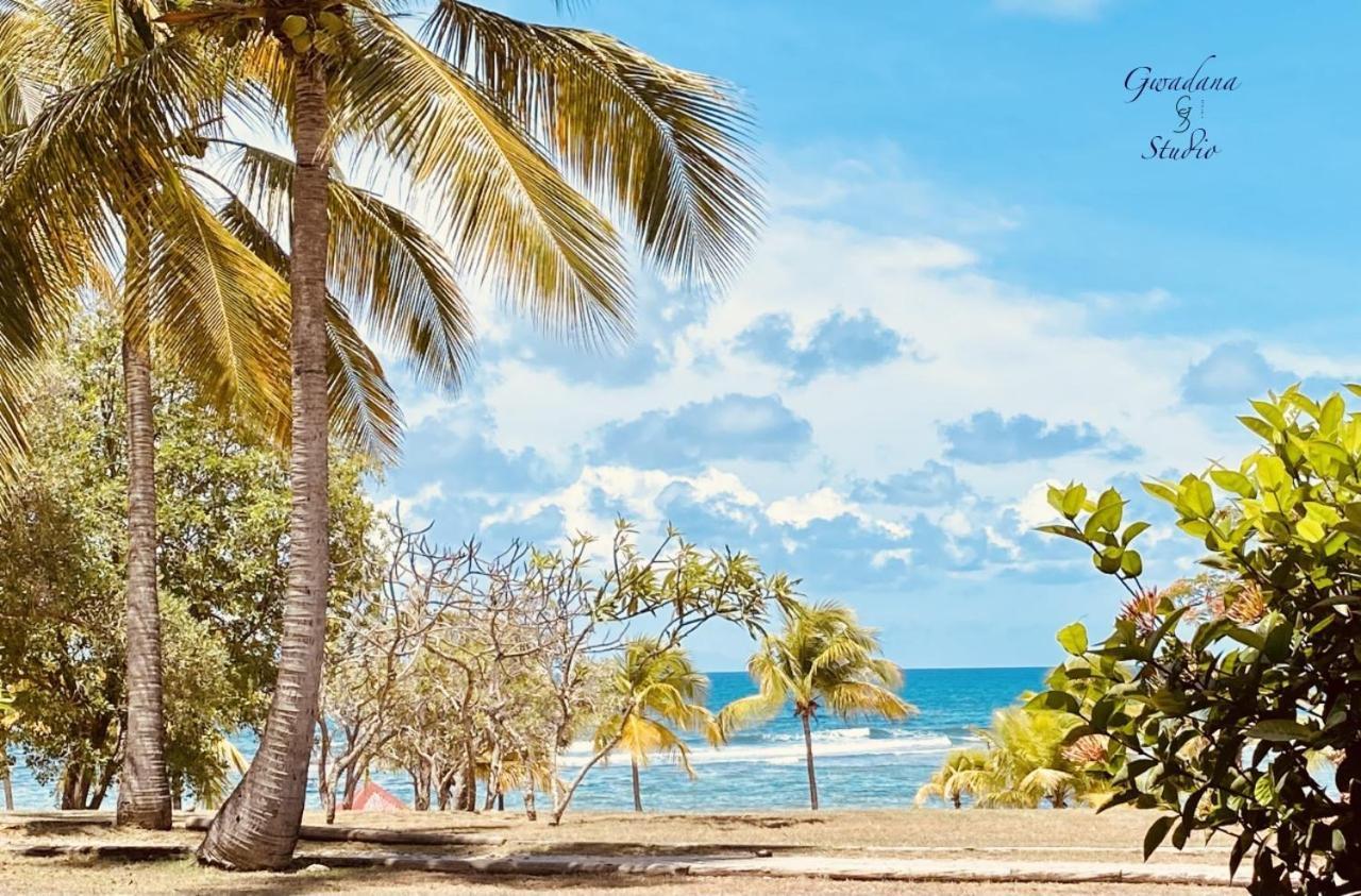 Acces Direct Plage, Vue Mer D'Exception, Les Gwada Studios, Village Vacances Sainte-Anne  Εξωτερικό φωτογραφία