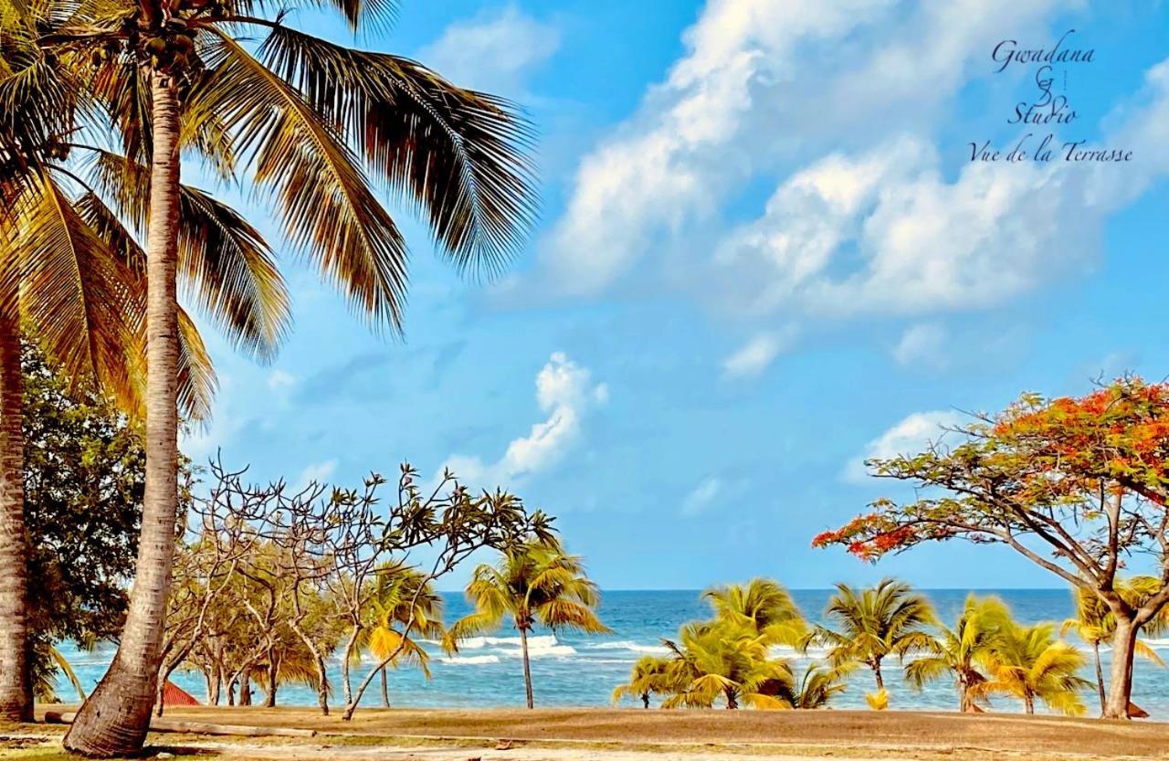 Acces Direct Plage, Vue Mer D'Exception, Les Gwada Studios, Village Vacances Sainte-Anne  Εξωτερικό φωτογραφία